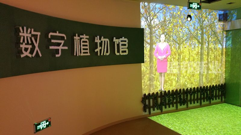 迎宾地面互动联动.jpg