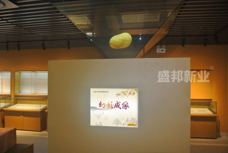 360°幻像.jpg