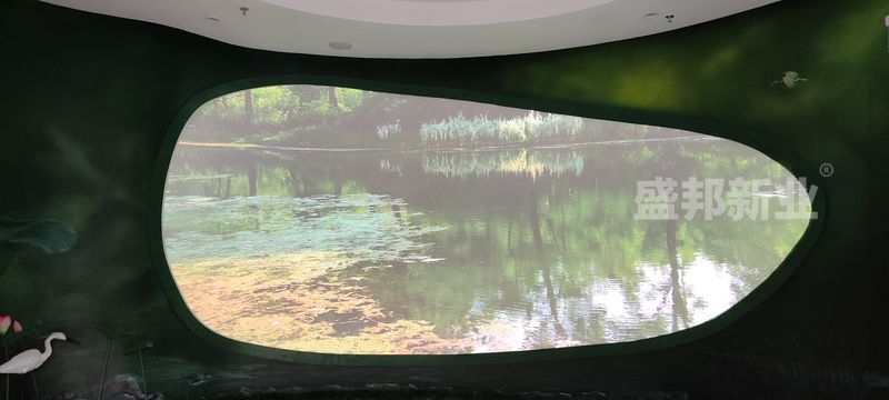 IMG_20200914_124059.jpg