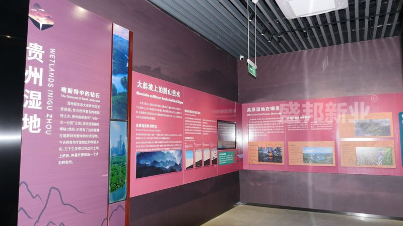 P1290086.jpg