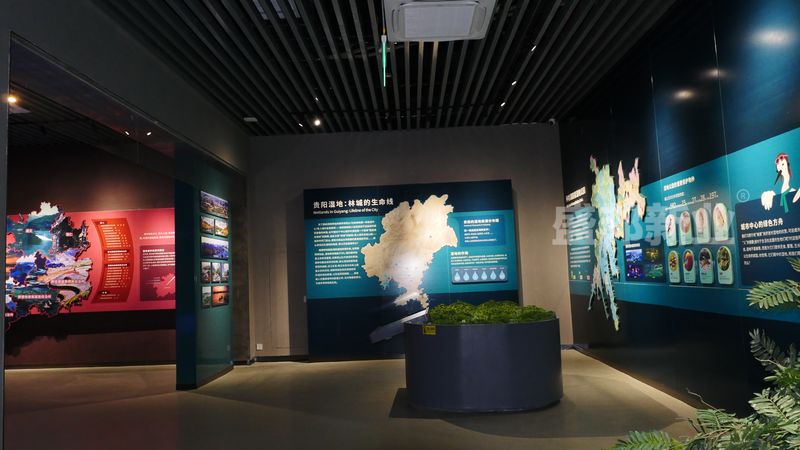 P1290155.jpg
