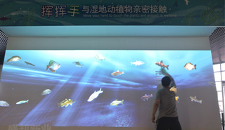 墙面互动4.jpg