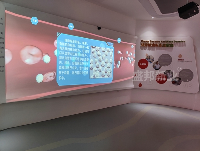 血液旅程展示系统-互动墙p4.jpg